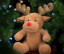REINDEER